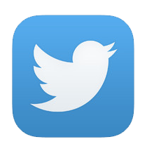 twitter logo trans
